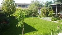Záhrada